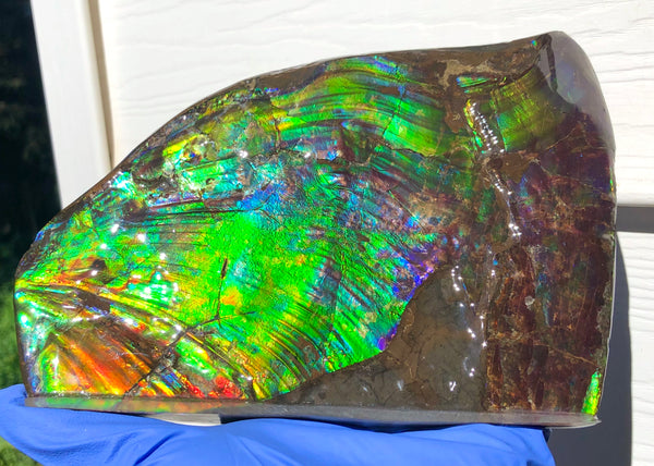 AAA DOUBLE-SIDED 196 x128mmx17m Collector Stone - CS-200  ***FREE SHIPPING****アンモライト　コレクターストーン