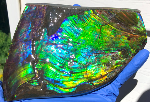 AAA DOUBLE-SIDED 196 x128mmx17m Collector Stone - CS-200  ***FREE SHIPPING****アンモライト　コレクターストーン