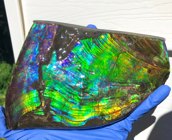 AAA DOUBLE-SIDED 196 x128mmx17m Collector Stone - CS-200  ***FREE SHIPPING****アンモライト　コレクターストーン