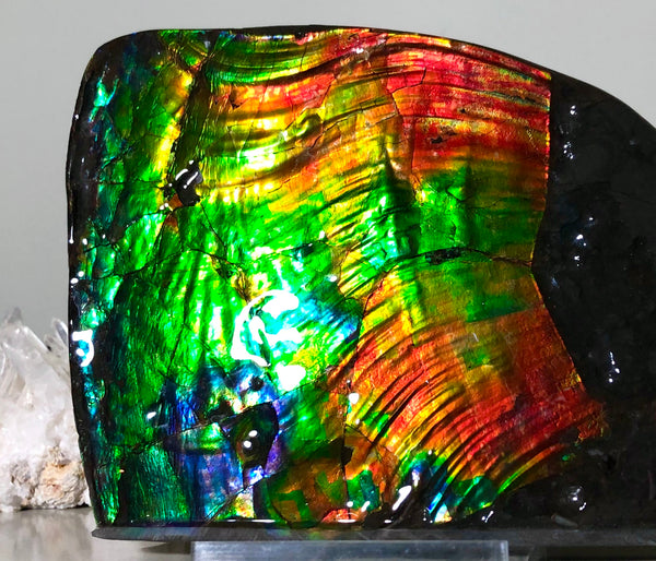 AAA DOUBLE-SIDED 196 x128mmx17m Collector Stone - CS-200  ***FREE SHIPPING****アンモライト　コレクターストーン