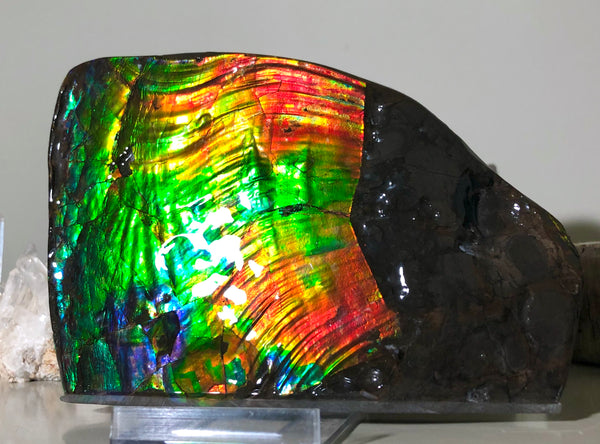 AAA DOUBLE-SIDED 196 x128mmx17m Collector Stone - CS-200  ***FREE SHIPPING****アンモライト　コレクターストーン