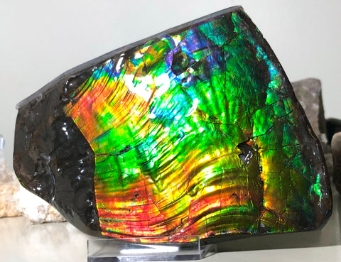 AAA DOUBLE-SIDED 196 x128mmx17m Collector Stone - CS-200  ***FREE SHIPPING****アンモライト　コレクターストーン