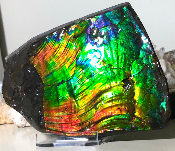 AAA DOUBLE-SIDED 196 x128mmx17m Collector Stone - CS-200  ***FREE SHIPPING****アンモライト　コレクターストーン