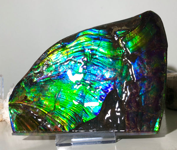 AAA DOUBLE-SIDED 196 x128mmx17m Collector Stone - CS-200  ***FREE SHIPPING****アンモライト　コレクターストーン