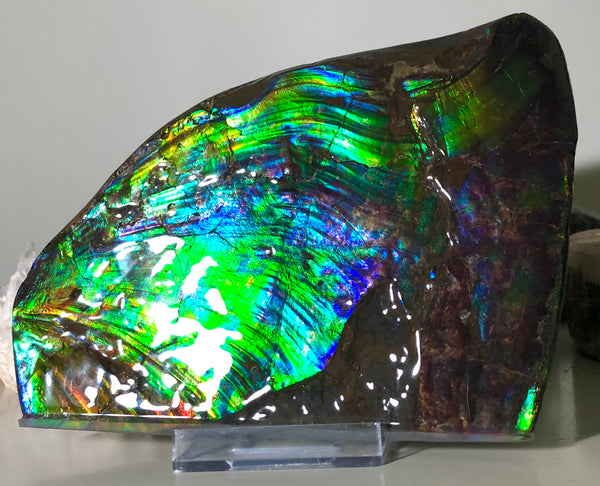 AAA DOUBLE-SIDED 196 x128mmx17m Collector Stone - CS-200  ***FREE SHIPPING****アンモライト　コレクターストーン