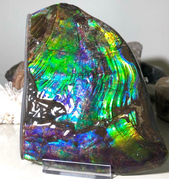 AAA DOUBLE-SIDED 196 x128mmx17m Collector Stone - CS-200  ***FREE SHIPPING****アンモライト　コレクターストーン