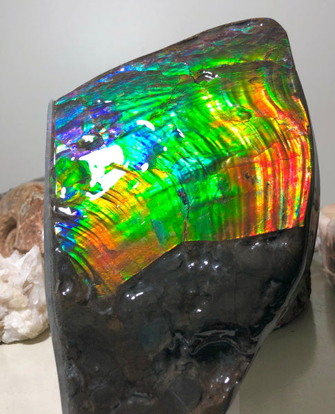 AAA DOUBLE-SIDED 196 x128mmx17m Collector Stone - CS-200  ***FREE SHIPPING****アンモライト　コレクターストーン