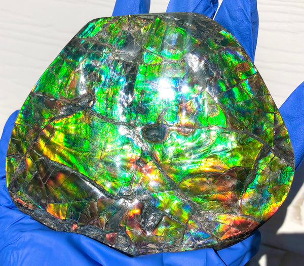 CS-211 High Grade Ammolite Natural POLISHED Double Sided Display Stone  Specimen 117mm 4.6" Gemstone Section Edge Keel Piece, Feng Shui, Ammonite, Fossil, Home Décor,FREE SHIPPING