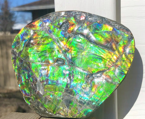 CS-211 High Grade Ammolite Natural POLISHED Double Sided Display Stone  Specimen 117mm 4.6" Gemstone Section Edge Keel Piece, Feng Shui, Ammonite, Fossil, Home Décor,FREE SHIPPING