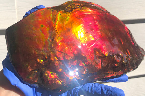 HUGE Collector Stone Specimen - CS-201  ***FREE SHIPPING****アンモライト　コレクターストーン