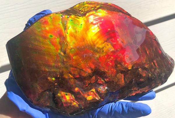 HUGE Collector Stone Specimen - CS-201  ***FREE SHIPPING****アンモライト　コレクターストーン