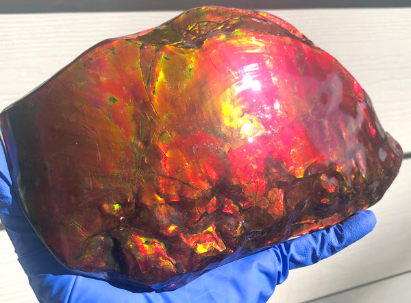 HUGE Collector Stone Specimen - CS-201  ***FREE SHIPPING****アンモライト　コレクターストーン