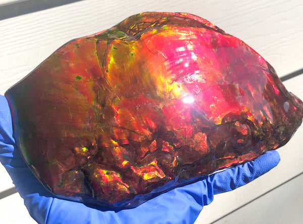 HUGE Collector Stone Specimen - CS-201  ***FREE SHIPPING****アンモライト　コレクターストーン