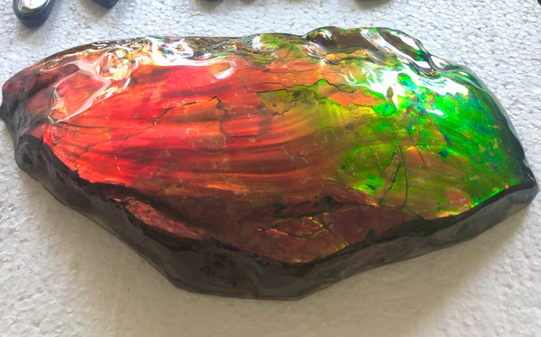 HUGE Collector Stone Specimen - CS-201  ***FREE SHIPPING****アンモライト　コレクターストーン