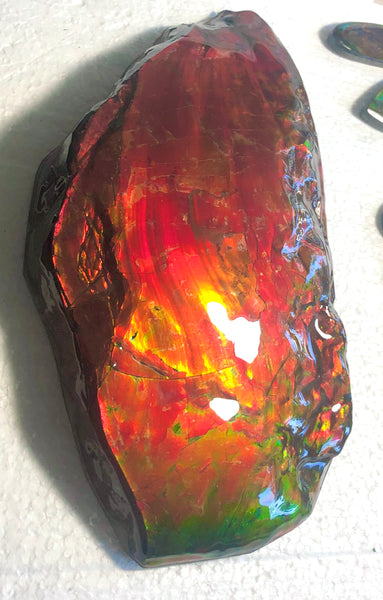 HUGE Collector Stone Specimen - CS-201  ***FREE SHIPPING****アンモライト　コレクターストーン