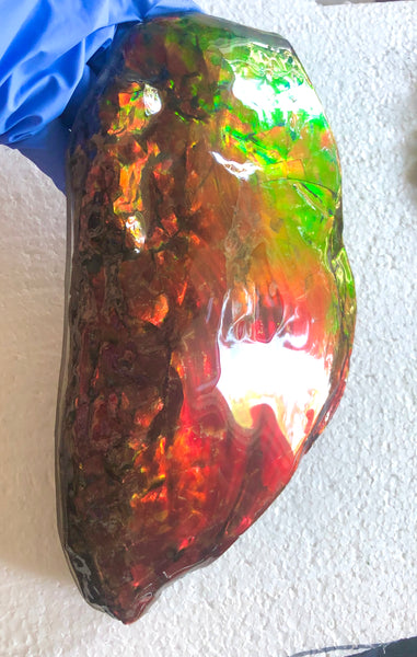 HUGE Collector Stone Specimen - CS-201  ***FREE SHIPPING****アンモライト　コレクターストーン