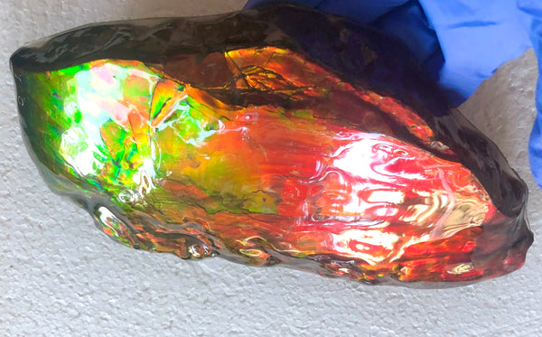 HUGE Collector Stone Specimen - CS-201  ***FREE SHIPPING****アンモライト　コレクターストーン