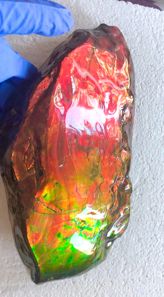 HUGE Collector Stone Specimen - CS-201  ***FREE SHIPPING****アンモライト　コレクターストーン