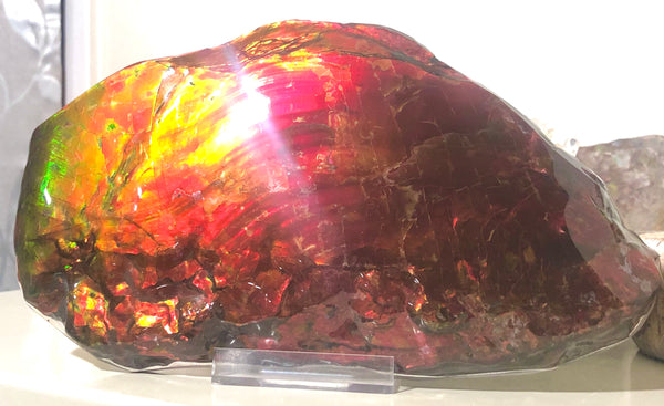 HUGE Collector Stone Specimen - CS-201  ***FREE SHIPPING****アンモライト　コレクターストーン