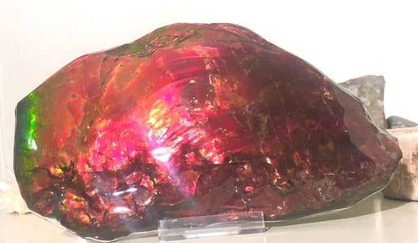 HUGE Collector Stone Specimen - CS-201  ***FREE SHIPPING****アンモライト　コレクターストーン