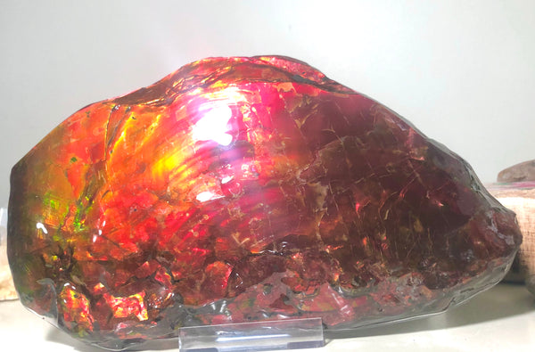 HUGE Collector Stone Specimen - CS-201  ***FREE SHIPPING****アンモライト　コレクターストーン