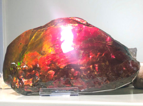 HUGE Collector Stone Specimen - CS-201  ***FREE SHIPPING****アンモライト　コレクターストーン