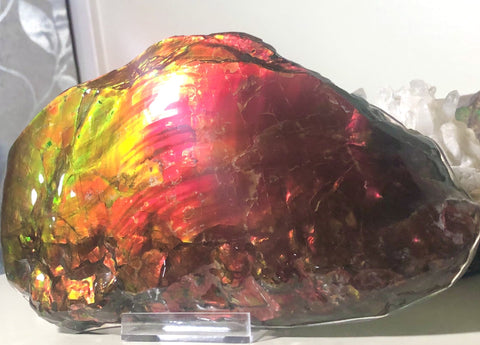 HUGE Collector Stone Specimen - CS-201  ***FREE SHIPPING****アンモライト　コレクターストーン