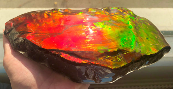 HUGE Collector Stone Specimen - CS-201  ***FREE SHIPPING****アンモライト　コレクターストーン