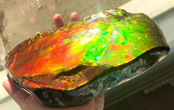 HUGE Collector Stone Specimen - CS-201  ***FREE SHIPPING****アンモライト　コレクターストーン