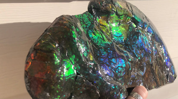 14.5" Double-Sided Ammolite Display Stone  Huge Fossil Placenticeras ,Section Piece 368mm  Collector Stone Home Décor  - CS-223***アンモライト 超大型両面　コレクターストーン FREE SHIPPING