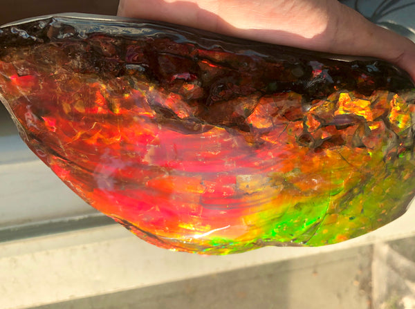 HUGE Collector Stone Specimen - CS-201  ***FREE SHIPPING****アンモライト　コレクターストーン