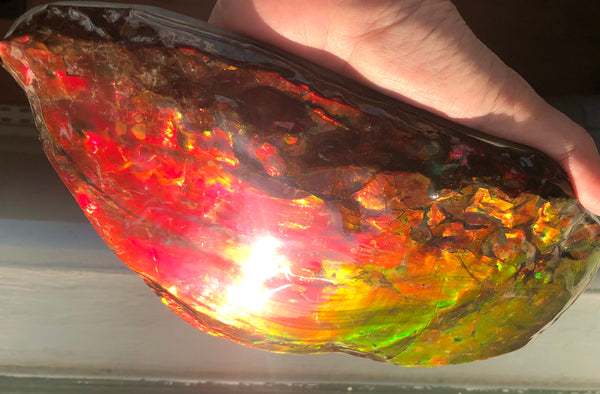 HUGE Collector Stone Specimen - CS-201  ***FREE SHIPPING****アンモライト　コレクターストーン