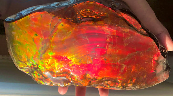 HUGE Collector Stone Specimen - CS-201  ***FREE SHIPPING****アンモライト　コレクターストーン