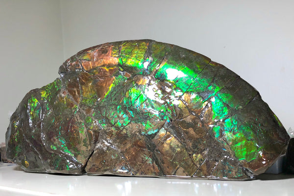 14.5" Double-Sided Ammolite Display Stone  Huge Fossil Placenticeras ,Section Piece 368mm  Collector Stone Home Décor  - CS-223***アンモライト 超大型両面　コレクターストーン FREE SHIPPING
