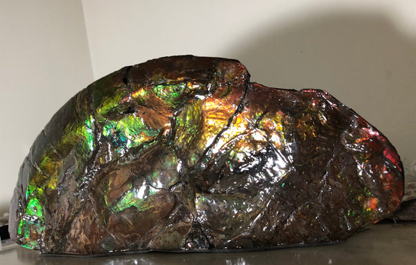 14.5" Double-Sided Ammolite Display Stone  Huge Fossil Placenticeras ,Section Piece 368mm  Collector Stone Home Décor  - CS-223***アンモライト 超大型両面　コレクターストーン FREE SHIPPING