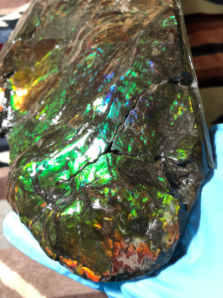 14.5" Double-Sided Ammolite Display Stone  Huge Fossil Placenticeras ,Section Piece 368mm  Collector Stone Home Décor  - CS-223***アンモライト 超大型両面　コレクターストーン FREE SHIPPING