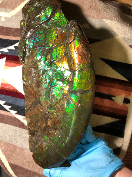 14.5" Double-Sided Ammolite Display Stone  Huge Fossil Placenticeras ,Section Piece 368mm  Collector Stone Home Décor  - CS-223***アンモライト 超大型両面　コレクターストーン FREE SHIPPING