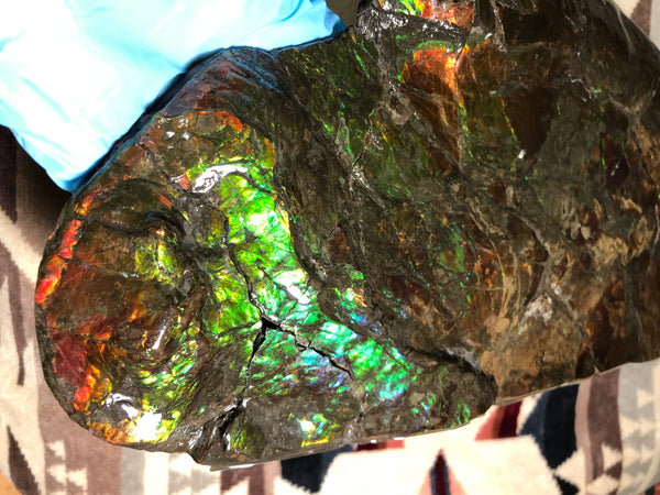 14.5" Double-Sided Ammolite Display Stone  Huge Fossil Placenticeras ,Section Piece 368mm  Collector Stone Home Décor  - CS-223***アンモライト 超大型両面　コレクターストーン FREE SHIPPING