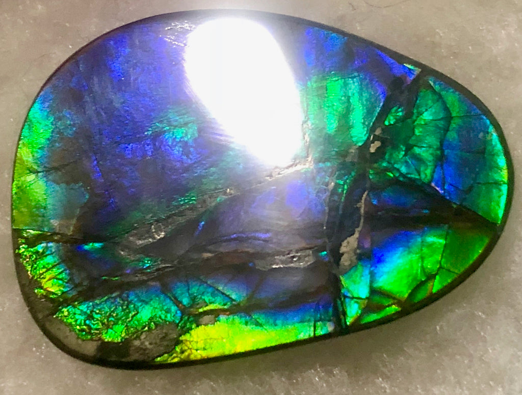 40 x 29 mm - IMP-59 Natural Ammolite Double-Sided Imperial! 両面