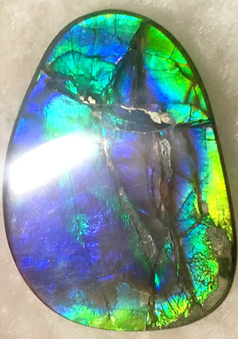 40 x 29 mm  - IMP-59 Natural Ammolite Double-Sided Imperial!　両面　レインボー！レアルース　アンモライト