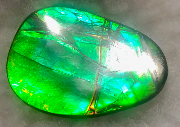 40 x 29 mm  - IMP-59 Natural Ammolite Double-Sided Imperial!　両面　レインボー！レアルース　アンモライト