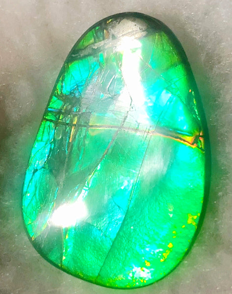 40 x 29 mm  - IMP-59 Natural Ammolite Double-Sided Imperial!　両面　レインボー！レアルース　アンモライト