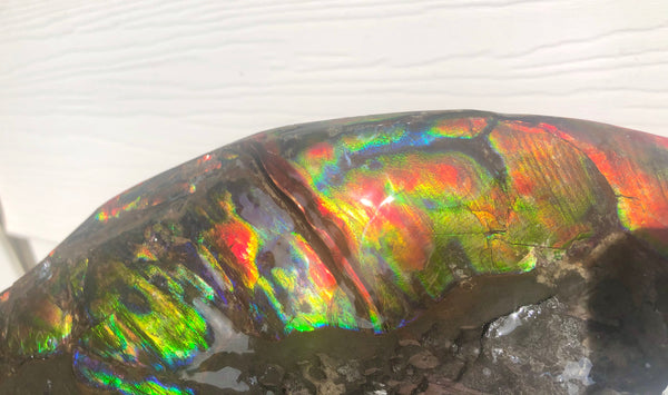 HUGE Collector Stone Double Sided Specimen - CS-202  ***FREE SHIPPING****アンモライト　コレクターストーン