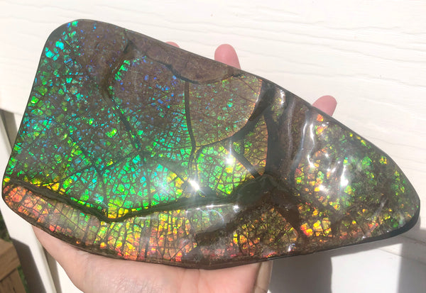 Ammolite Huge Display Stone Hand Specimen 210x110x20mm Dragon Skin Pattern  Collector GemstoneCS-203  ***FREE SHIPPING****アンモライト　コレクターストーン