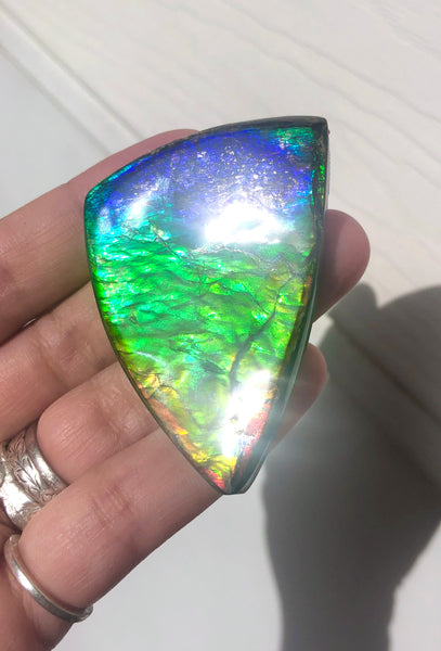 Rainbow colors  57x37 mm LARGE  Super Beauty! Natural  Free Form . FFNT 152 Ammolite  ナチュラル　ルース　アンモライト
