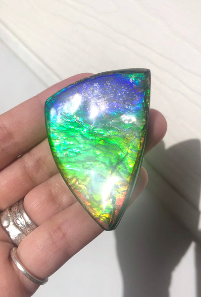 Rainbow colors  57x37 mm LARGE  Super Beauty! Natural  Free Form . FFNT 152 Ammolite  ナチュラル　ルース　アンモライト