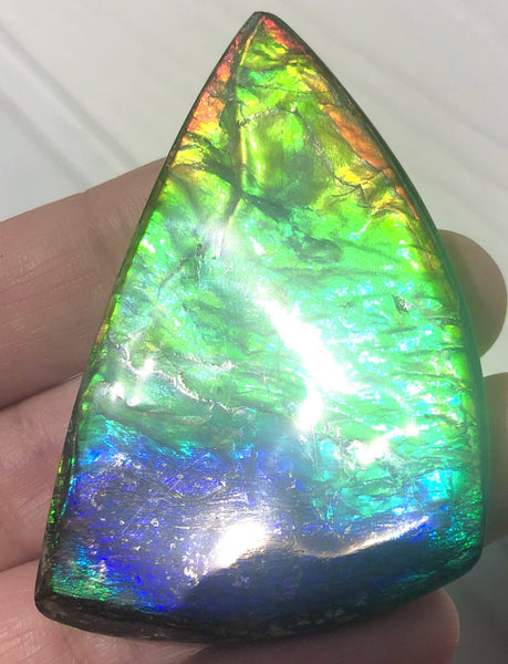 Rainbow colors  57x37 mm LARGE  Super Beauty! Natural  Free Form . FFNT 152 Ammolite  ナチュラル　ルース　アンモライト