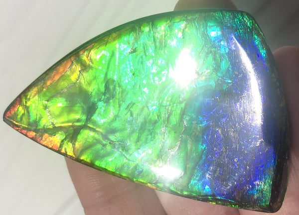 Rainbow colors  57x37 mm LARGE  Super Beauty! Natural  Free Form . FFNT 152 Ammolite  ナチュラル　ルース　アンモライト