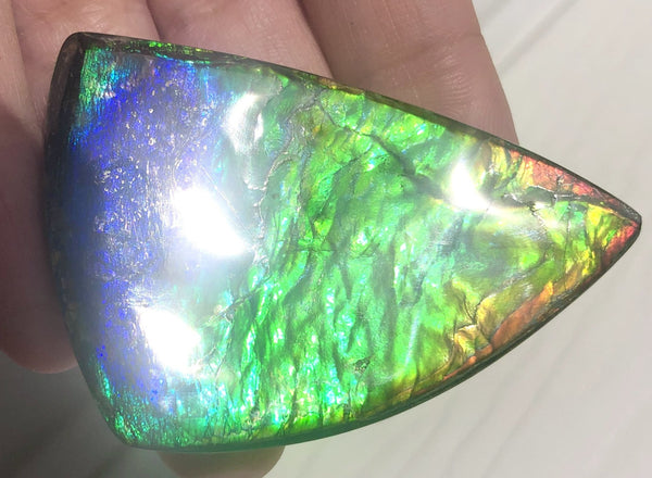 Rainbow colors  57x37 mm LARGE  Super Beauty! Natural  Free Form . FFNT 152 Ammolite  ナチュラル　ルース　アンモライト