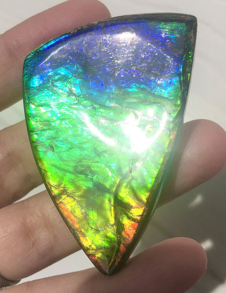 Rainbow colors  57x37 mm LARGE  Super Beauty! Natural  Free Form . FFNT 152 Ammolite  ナチュラル　ルース　アンモライト